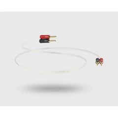 QED Performance Series Cable