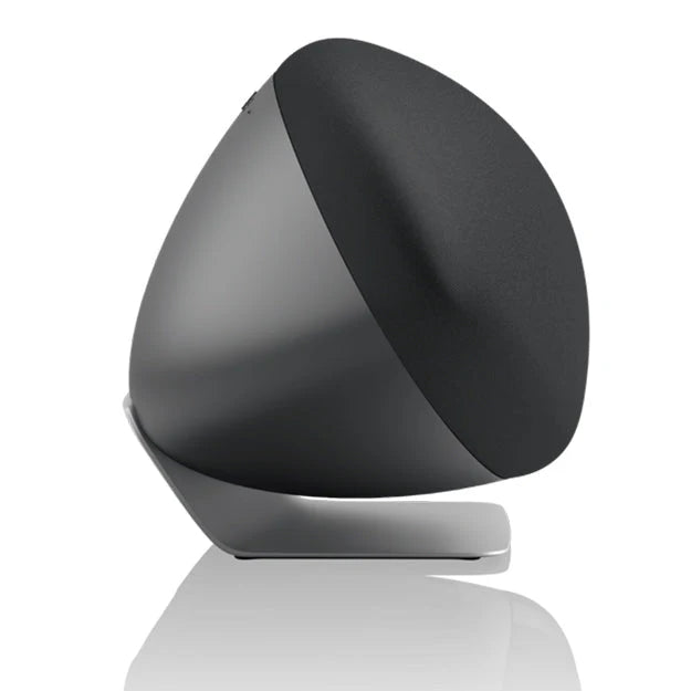 Bowers & Wilkins Zeppelin Pro Edition speaker alternate view 5