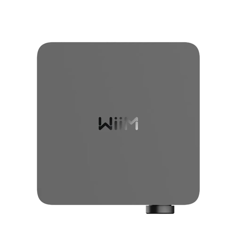 Wiim Amp Ultra amplifier alternate view 3