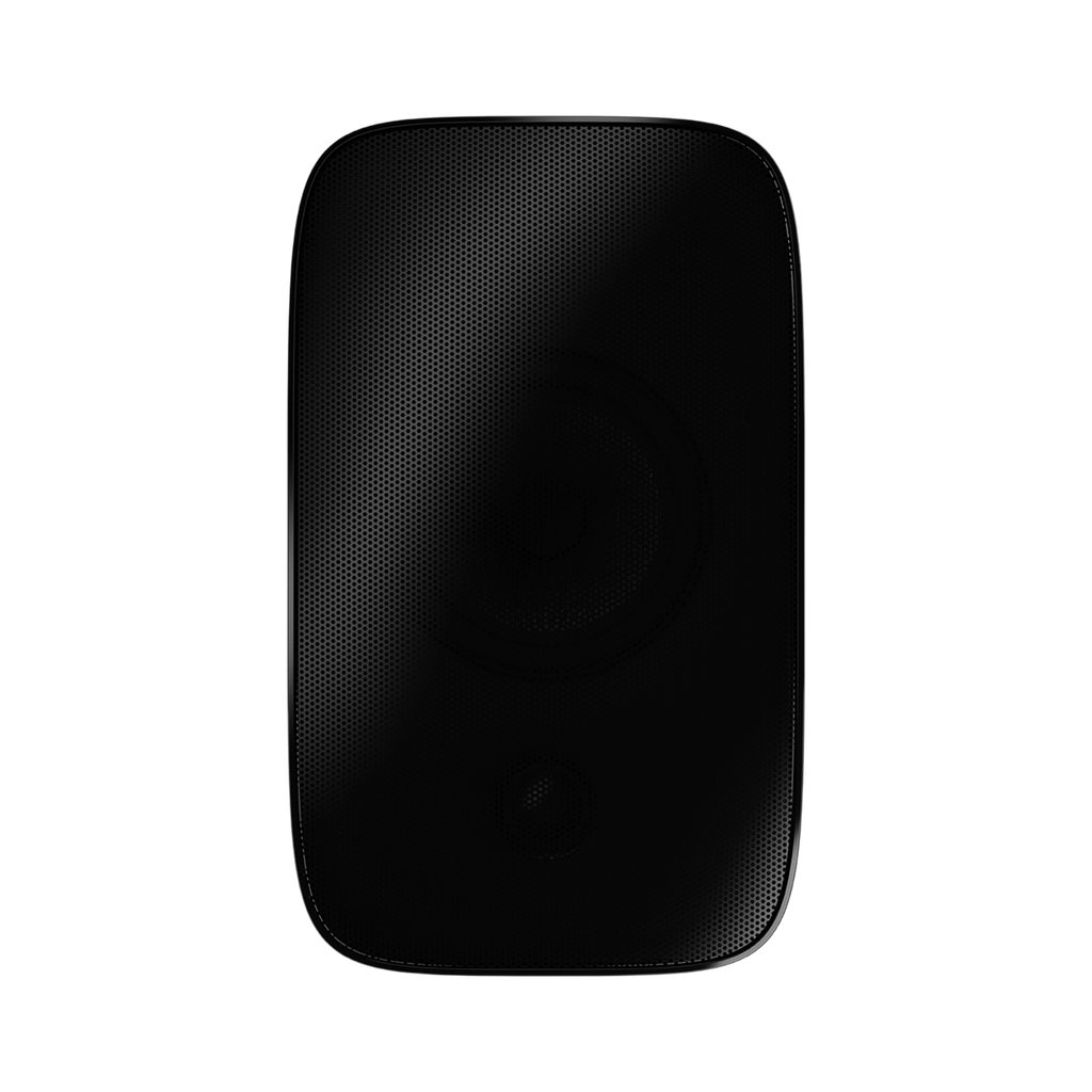Bowers & Wilkins AM1 Outdoor in black
