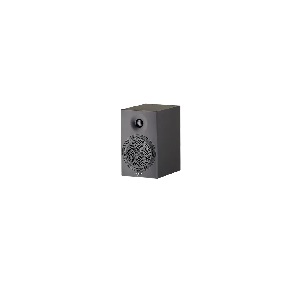 Paradigm Premier 100B