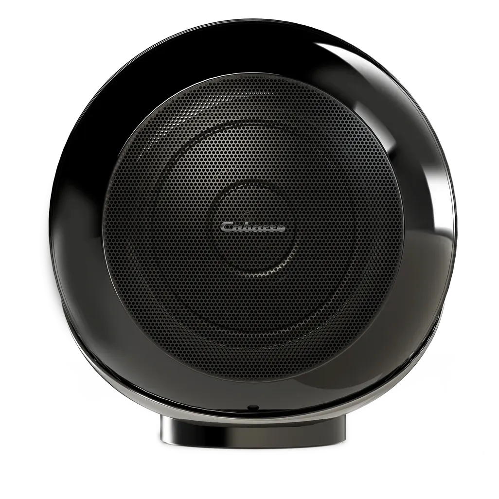 Cabasse AKOYA Streaming Speaker in black