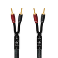 AQ Rocket88 w/Silver Banana (3m) cable in gold pair view