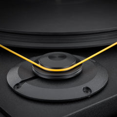 MoFi Turntable Replacement Belt