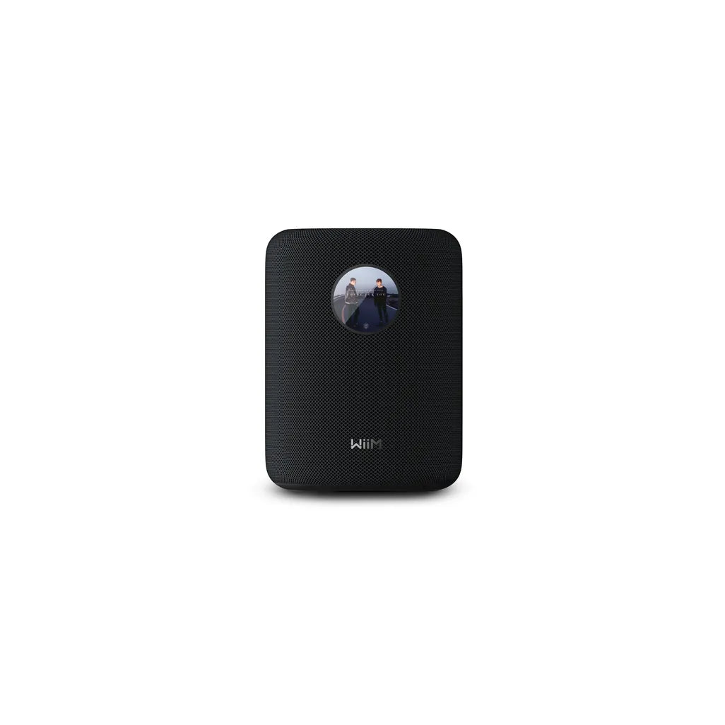 WiiM Sound Wireless Speaker
